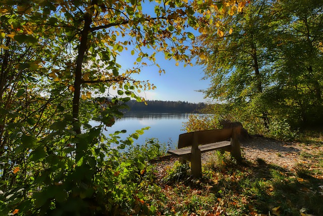 数据表现 数据表现