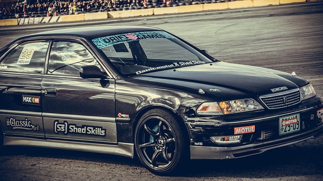 他的四粒进 他的四粒进