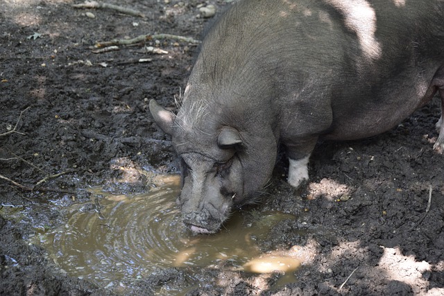 新的高度 新的高度