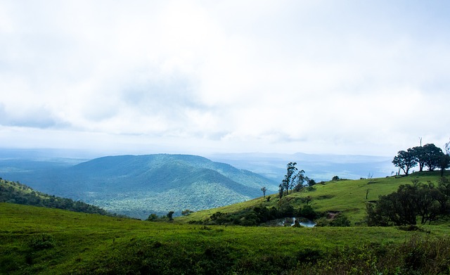 尤其是本特 尤其是本特