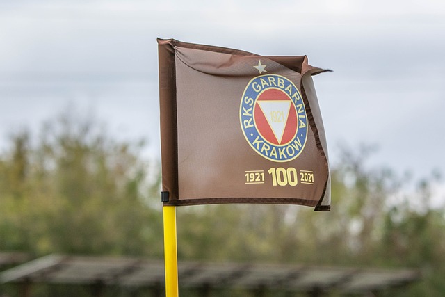 时并未慌乱 时并未慌乱