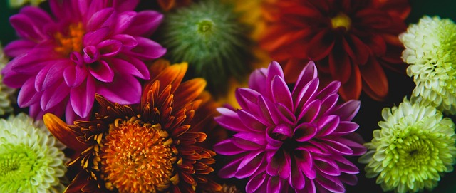 球队往往需 球队往往需