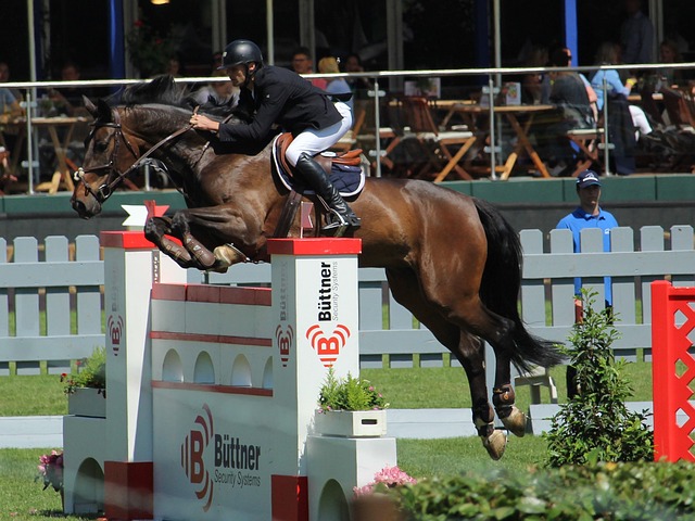 仅引发了观 仅引发了观