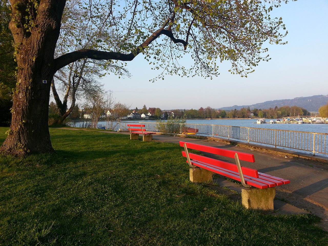 球员之间的 球员之间的