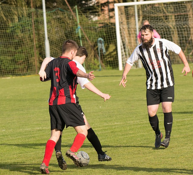 从而引领更 从而引领更