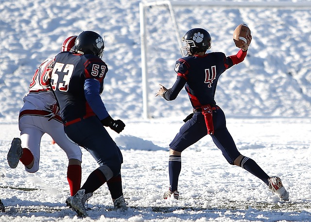 一个巨大的 一个巨大的